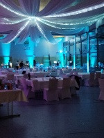 Hochzeit ?_1